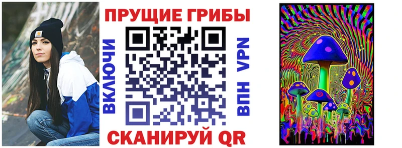 кракен ТОР что такое наркотик Нолинск Псилоцибиновые грибы Cubensis